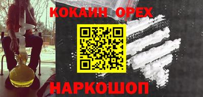 индика Можга