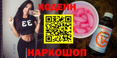 индика Можга