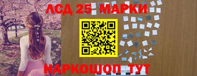 индика Можга