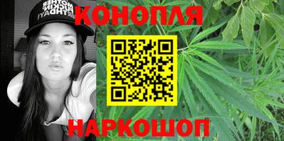 индика Можга
