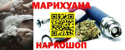 индика Можга