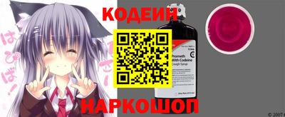 индика Можга