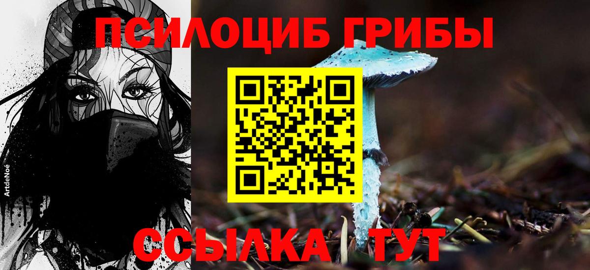 Псилоцибиновые грибы прущие грибы  Вход с VPN  Туапсе 